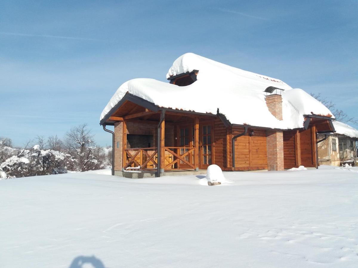 Brvnara Vila Promaja Kladovo Zewnętrze zdjęcie